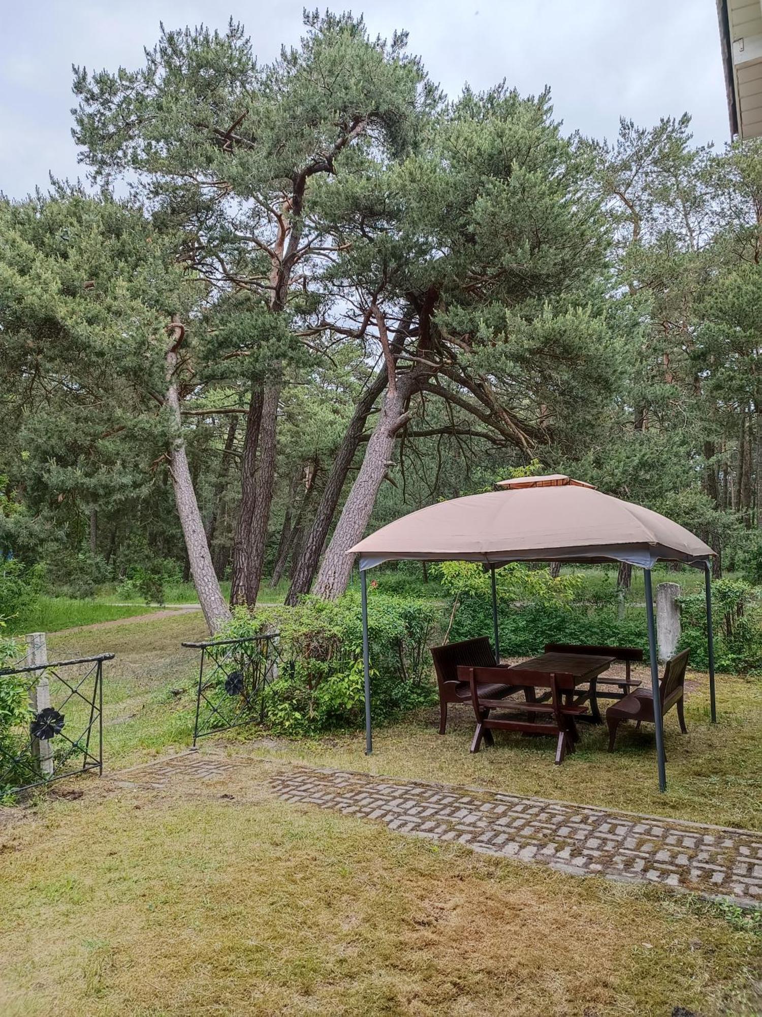 Surf Apartments In Melnrage Klaipėda Pokoj fotografie